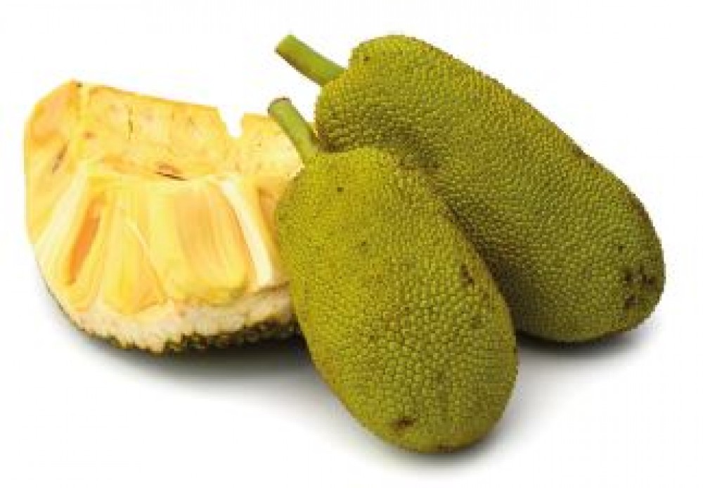 Jackfruit Pro