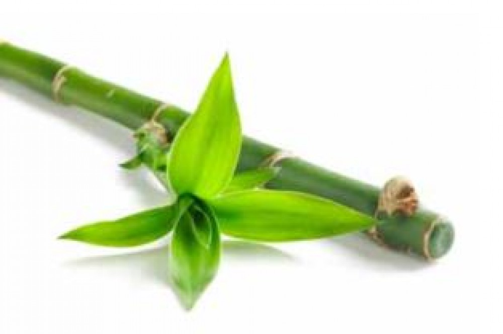 Bamboo Abrasive