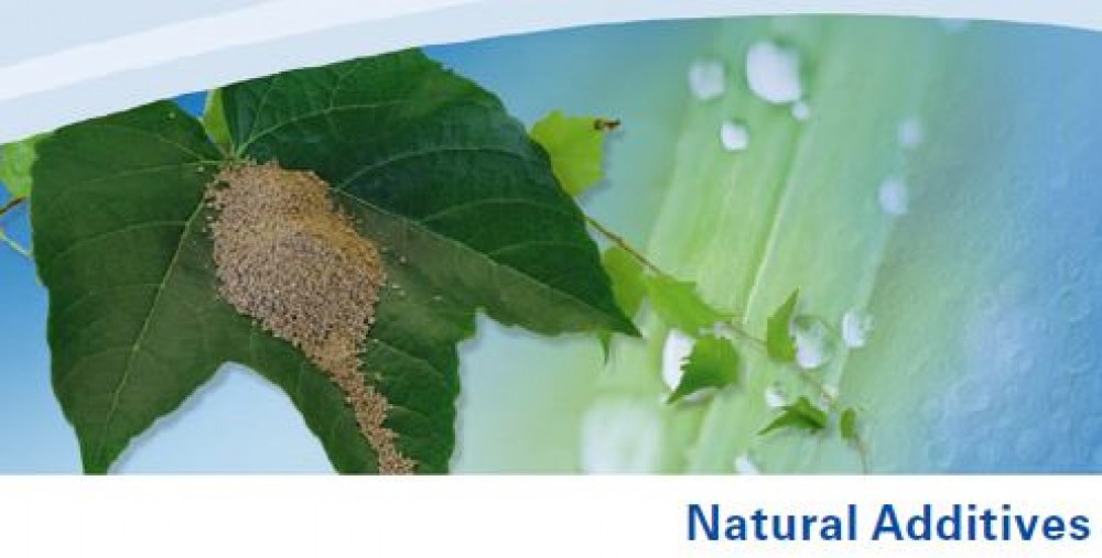 Natural AHA Complex Liquid