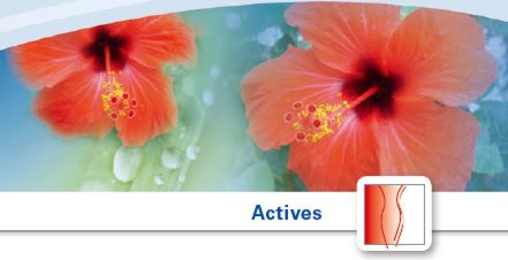 Slimming Factor Karkade PF