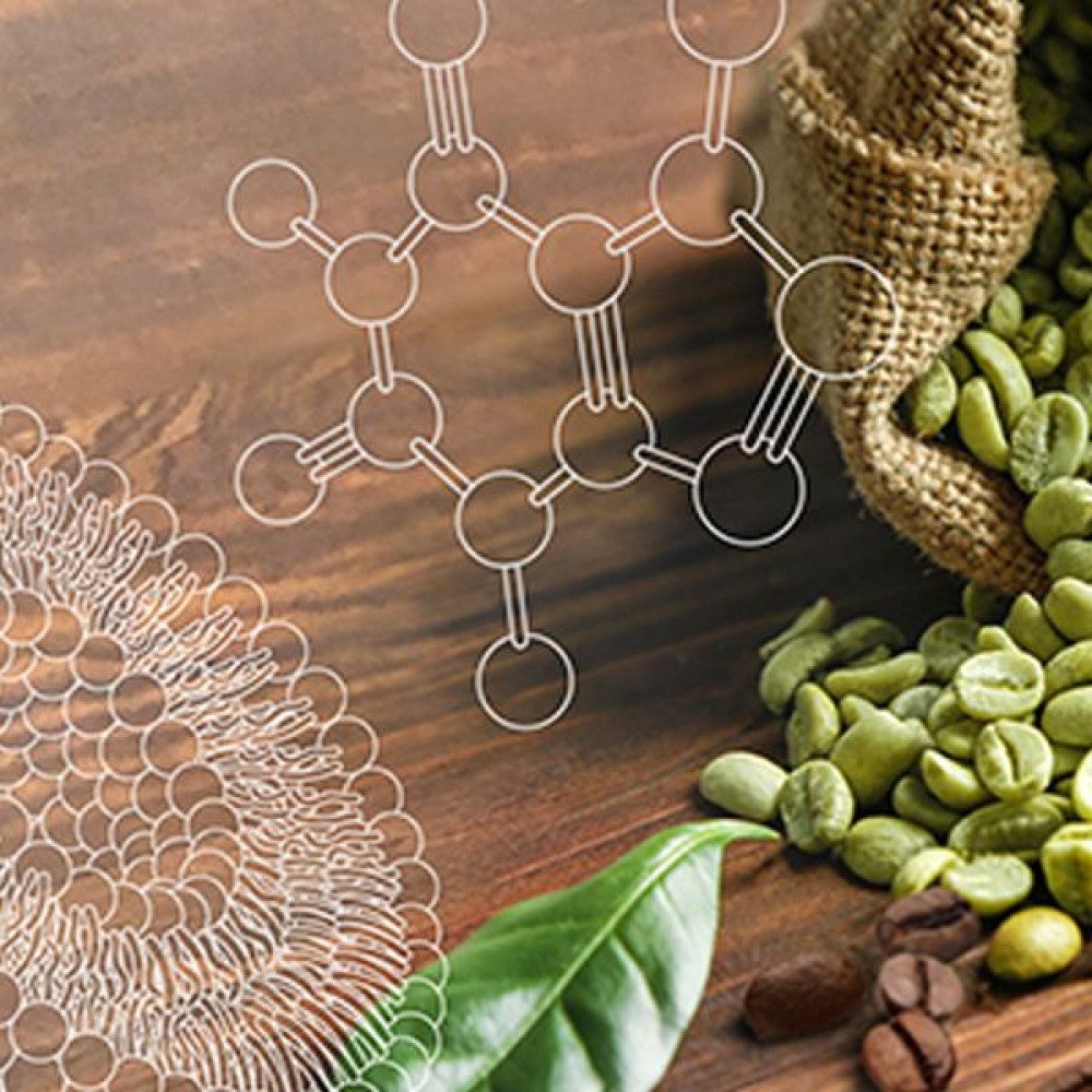 Caffeine Herbasome®